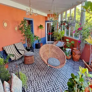 Aspa - Urban Conscious Living פונשל